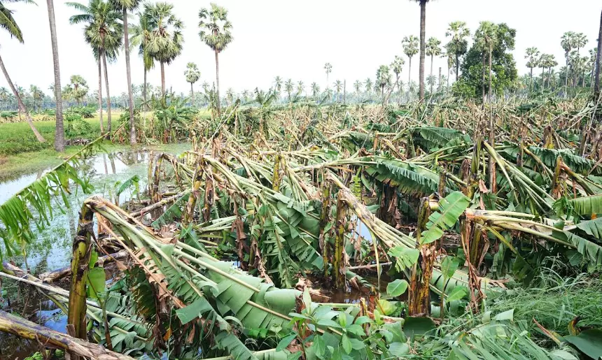 Seven-Member Central Team Reaches Andhra to Assess Cyclone Damage Seven-Member Central Team Reaches Andhra to Assess Cyclone Damage