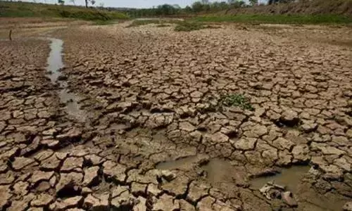 MP Urges Water Conservation Amid El Nino Conditions MP Urges Water Conservation Amid El Nino Conditions