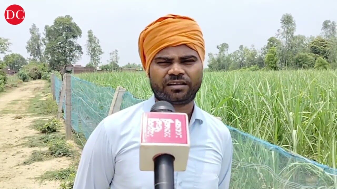 Budget 2024: Sugarcane farmers in Lakhimpur Kheri seek timely payment, reduction in production cost