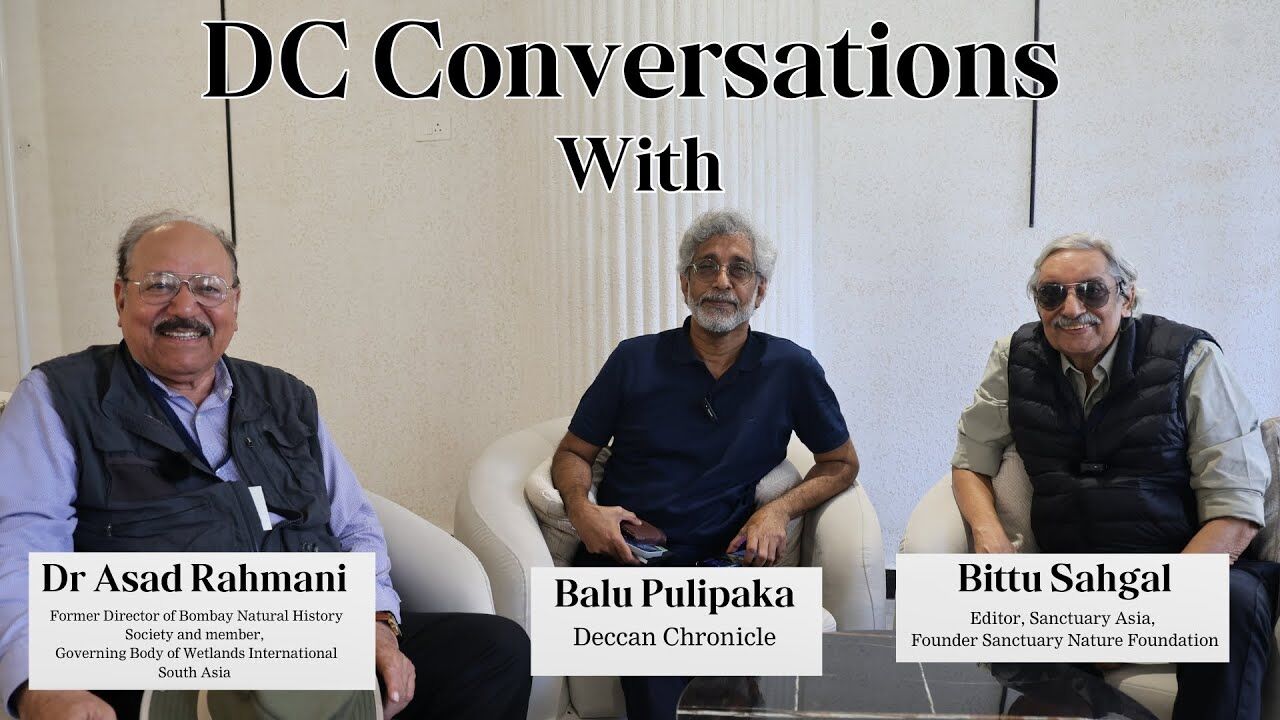 Our natural world – Self rejuvenating cake needs help