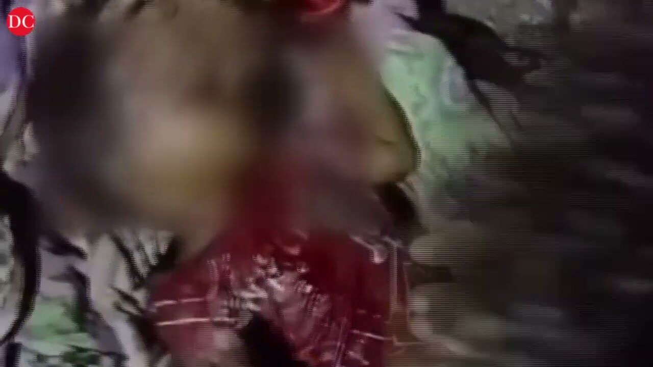 Two-year-old boy killed in leopard attack in Gujarats Amreli