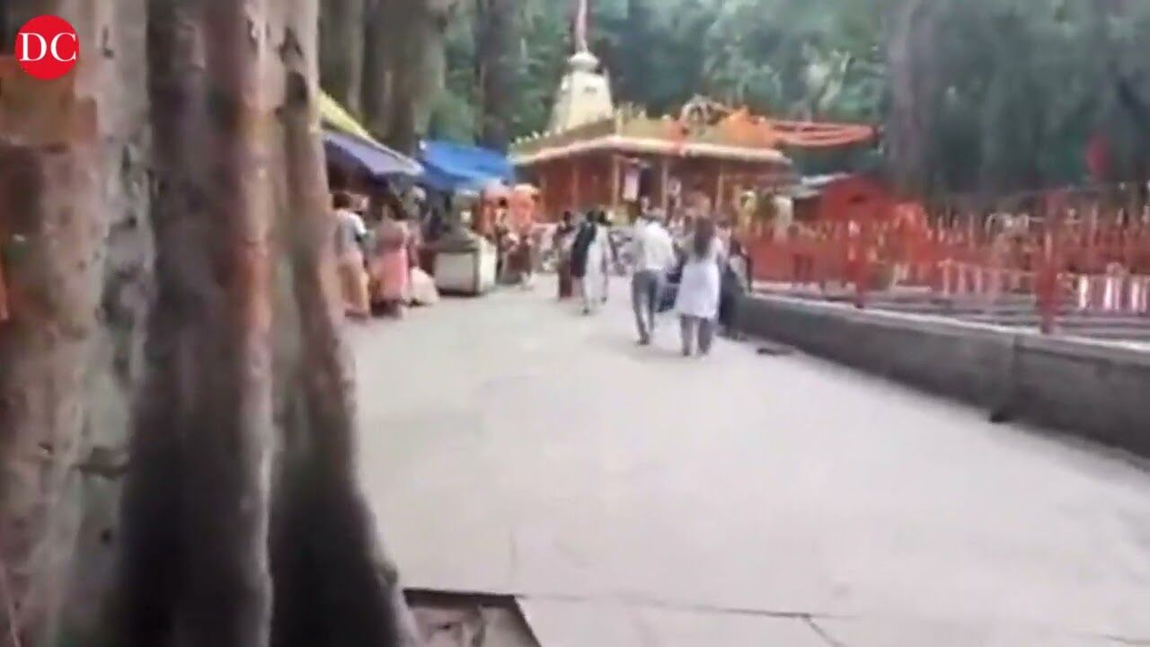 Woman Suffers Injuries as tree branch falls on her in Tirumala