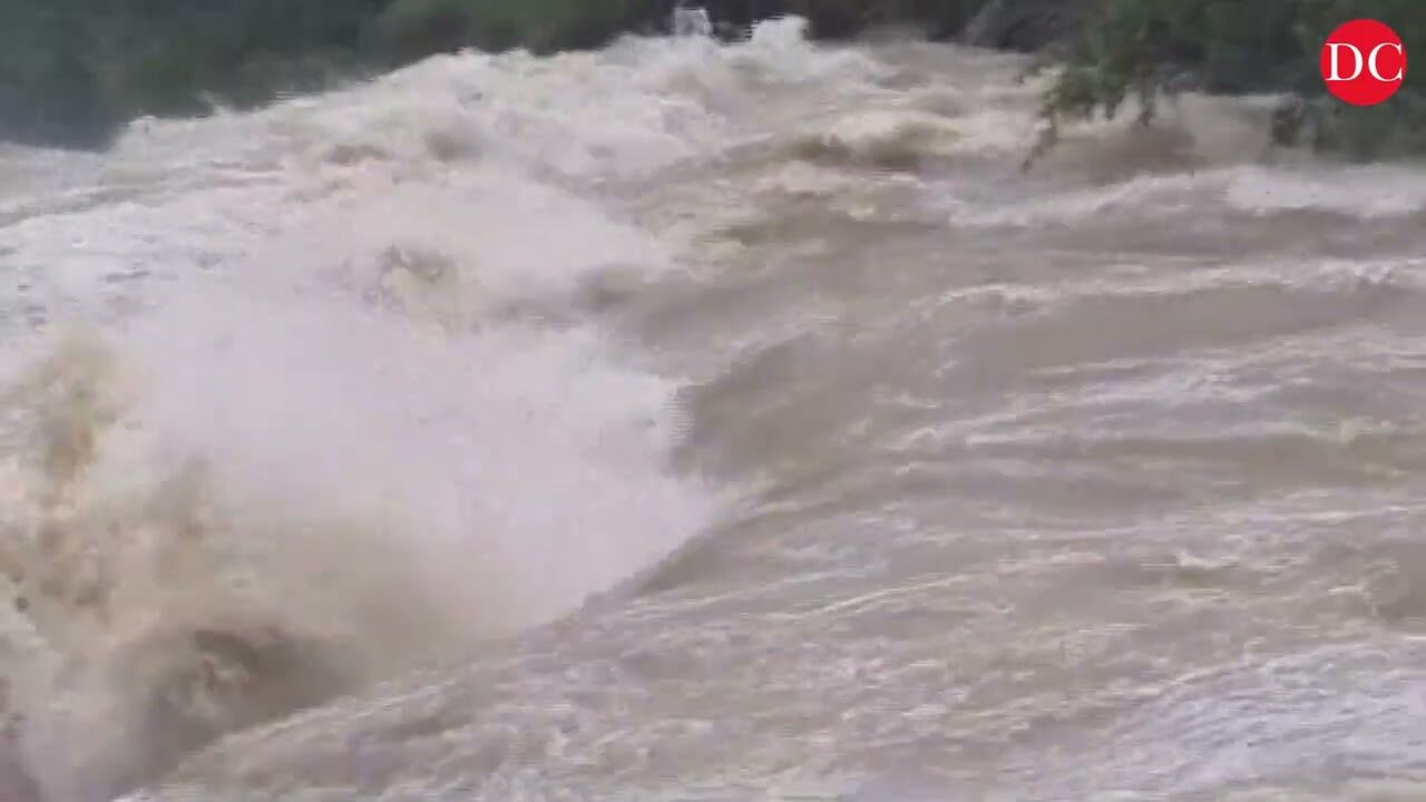 Five gates of Tawa dam opened amid heavy rains in Madhya Pradesh