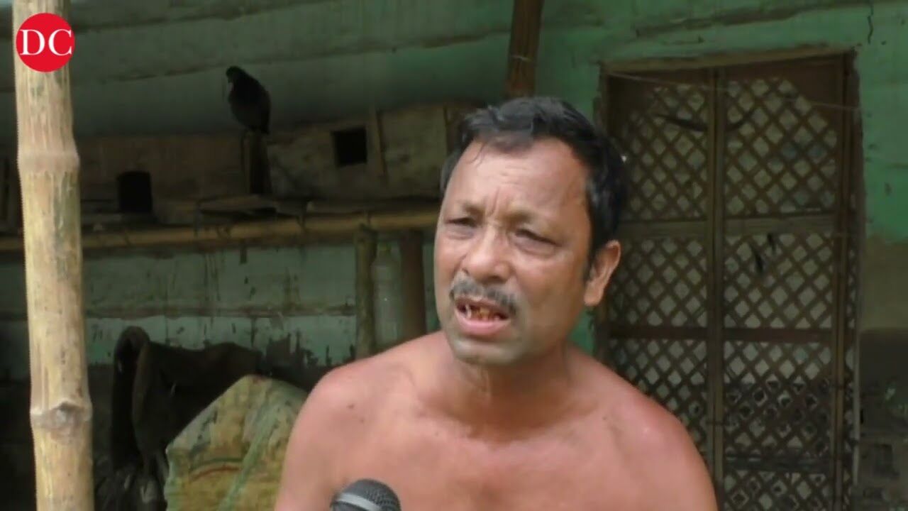 Assam flood: Humans, wildlife in trouble as floodwater rises in Kaziranga National Park