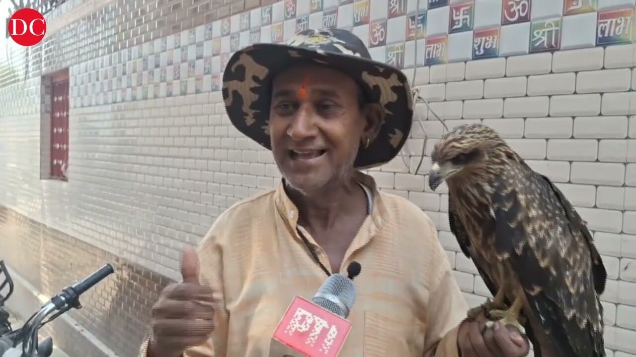 Ramnagar, Uttarakhand: Animal activist rescues injured eagle, bird refuses to leave his side